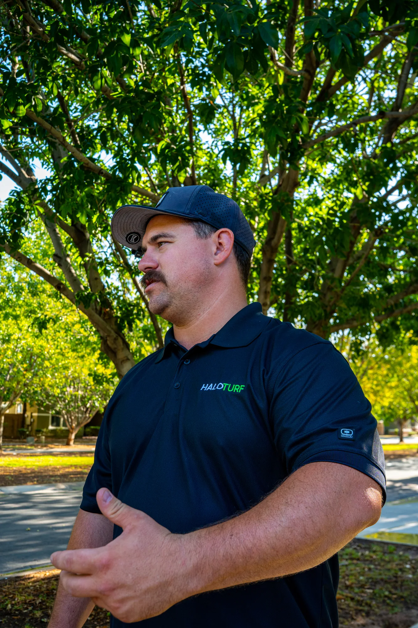 Halo Turf representative beside a shaded front lawn and mature tree